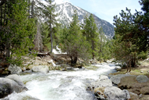 Río de la Llosa.