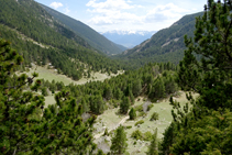 Descendiendo por el valle de la Llosa.