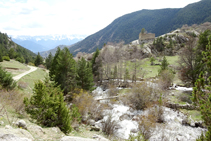 Bosque de ribera y ermita de la Mare de Déu dels Àngels.