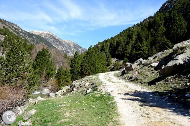 La Vall de la Llosa 1 