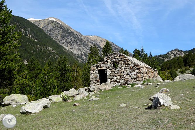 La Vall de la Llosa 1 