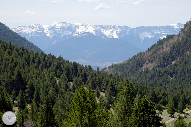 La Vall de la Llosa 1 