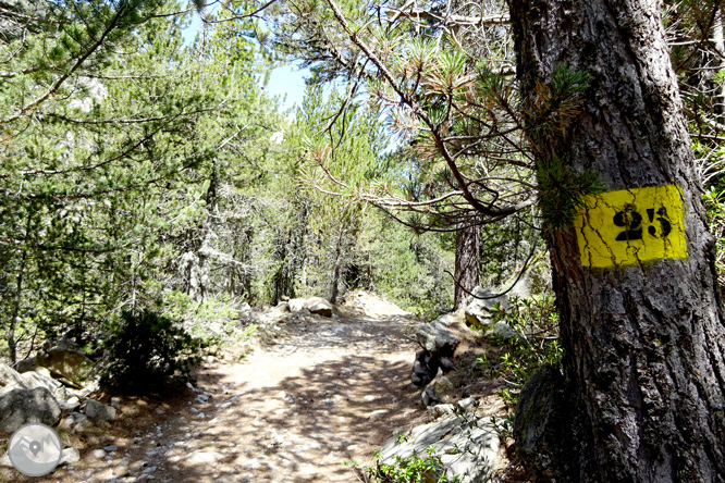 La Vall de la Llosa 1 