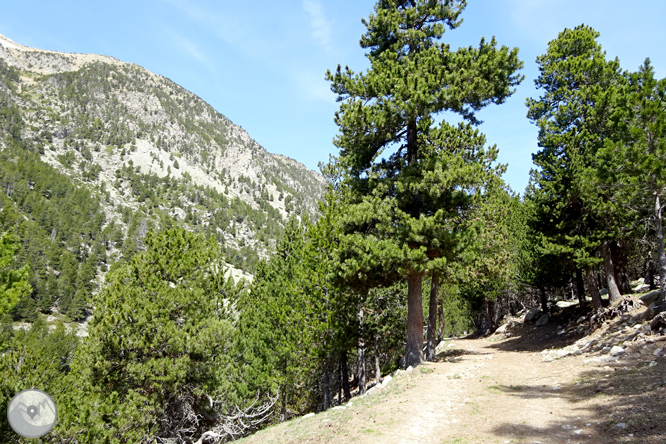 La Vall de la Llosa 1 