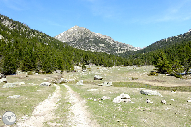 La Vall de la Llosa 1 