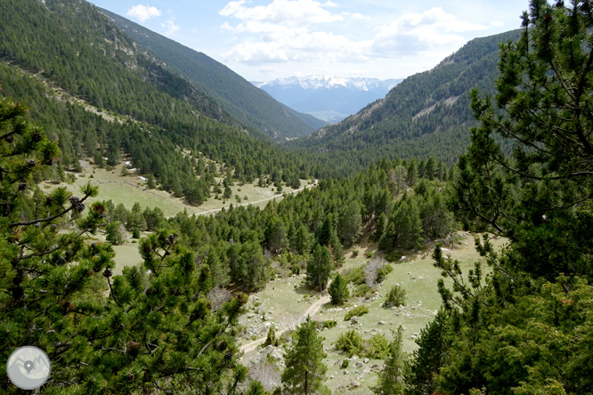 La Vall de la Llosa 1 