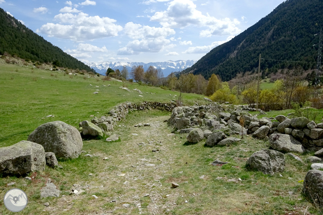 La Vall de la Llosa 1 