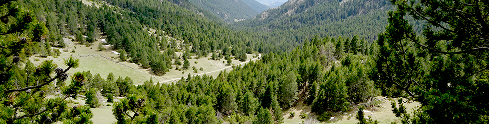 La Vall de la Llosa