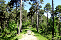 Camino al mirador de la Roca de la Lluna.