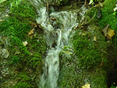 Las fuentes de Peramola (´´Camí de les Fonts´´)