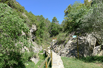 Caminamos arroyo arriba.