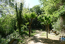 Área de descanso de la Fuente del Caner.