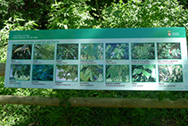 Panel con imágenes de la vegetación típica de la zona.
