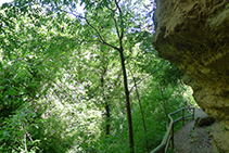 Seguimos bajando por el barranco de Peramola.