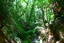 Avanzamos por el lado del arroyo del barranco de Peramola.