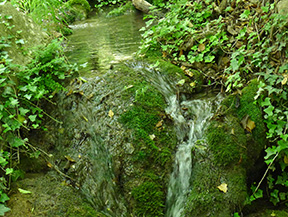 Las fuentes de Peramola (´´Camí de les Fonts´´)