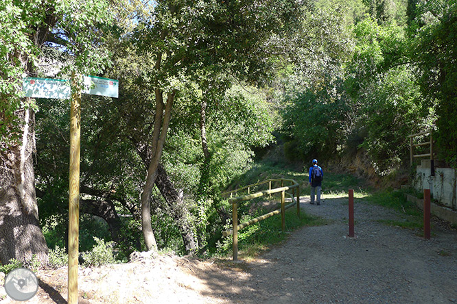 Las fuentes de Peramola (