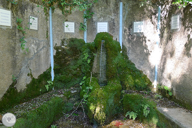 Las fuentes de Peramola (