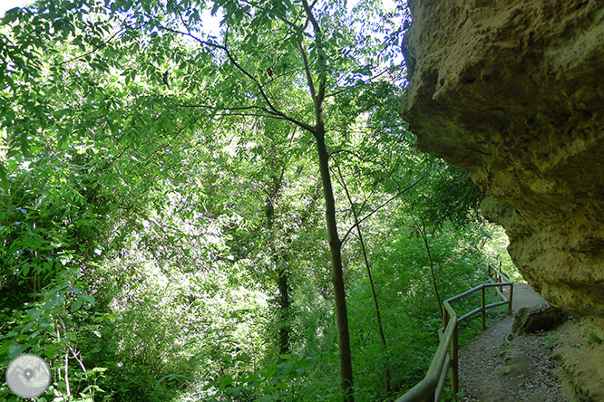 Las fuentes de Peramola (