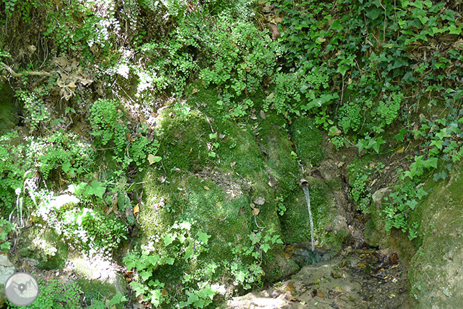 Las fuentes de Peramola (