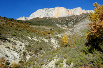 Vistas al primero de los tres barrancos que bajan de la sierra de Sant Gervàs y que debemos cruzar.