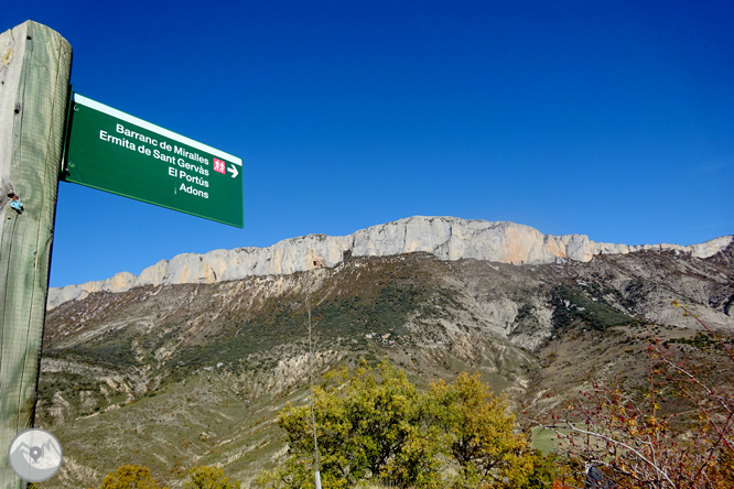 Sierra de Sant Gervàs: el Portús y la Avedoga d