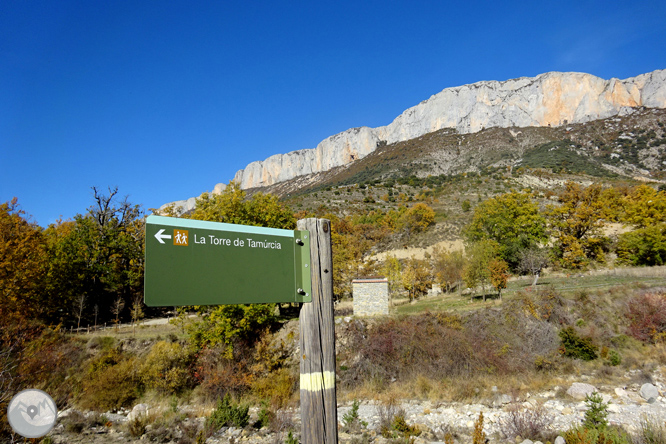 Sierra de Sant Gervàs: el Portús y la Avedoga d