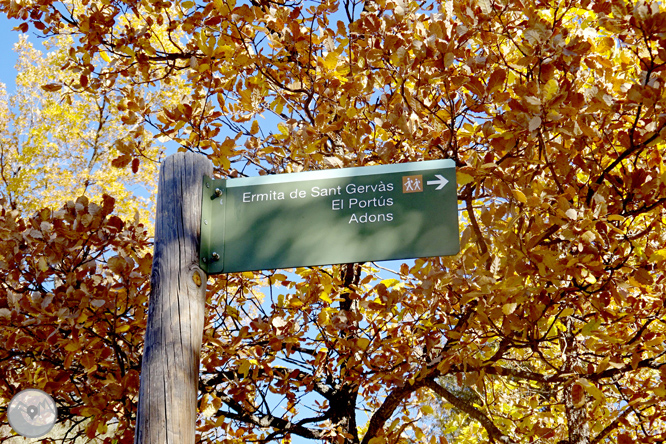 Sierra de Sant Gervàs: el Portús y la Avedoga d