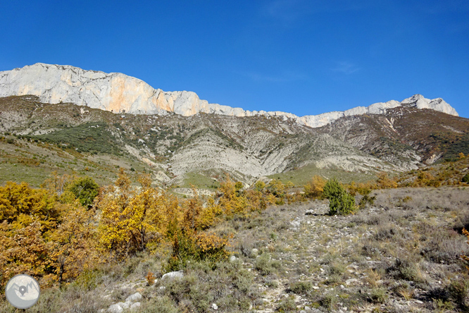 Sierra de Sant Gervàs: el Portús y la Avedoga d