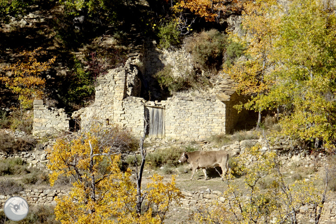 Sierra de Sant Gervàs: el Portús y la Avedoga d