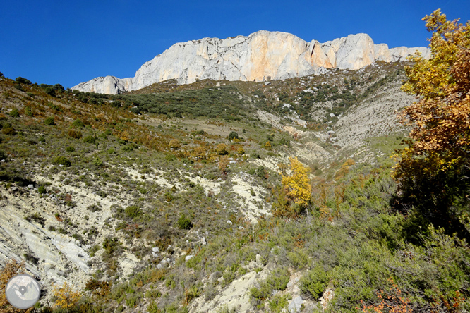 Sierra de Sant Gervàs: el Portús y la Avedoga d