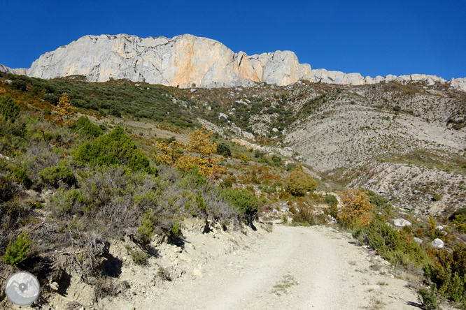 Sierra de Sant Gervàs: el Portús y la Avedoga d