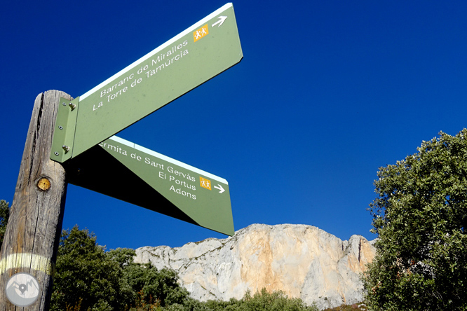 Sierra de Sant Gervàs: el Portús y la Avedoga d