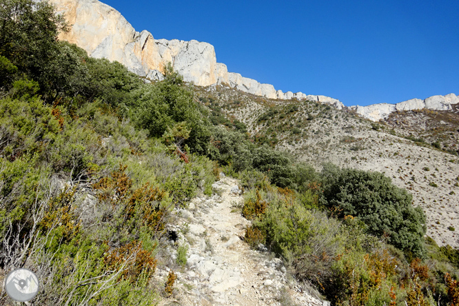 Sierra de Sant Gervàs: el Portús y la Avedoga d