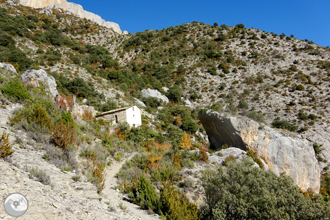 Sierra de Sant Gervàs: el Portús y la Avedoga d