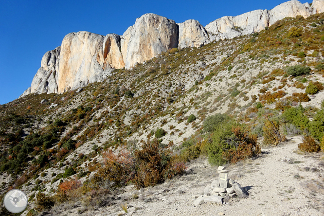 Sierra de Sant Gervàs: el Portús y la Avedoga d