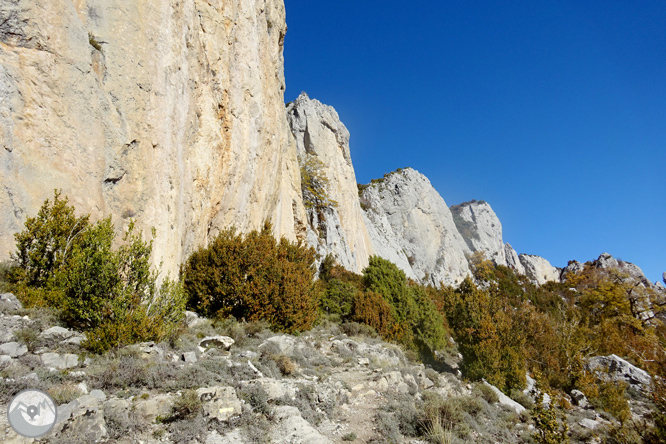 Sierra de Sant Gervàs: el Portús y la Avedoga d