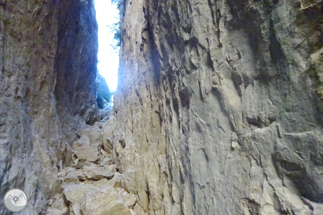 Sierra de Sant Gervàs: el Portús y la Avedoga d