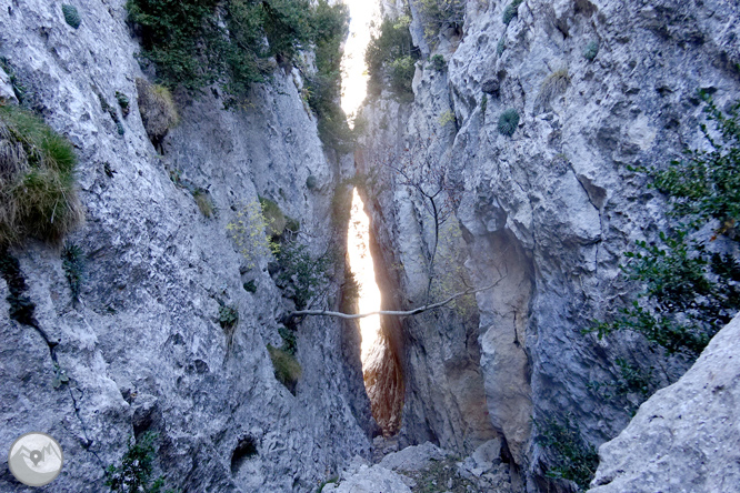 Sierra de Sant Gervàs: el Portús y la Avedoga d