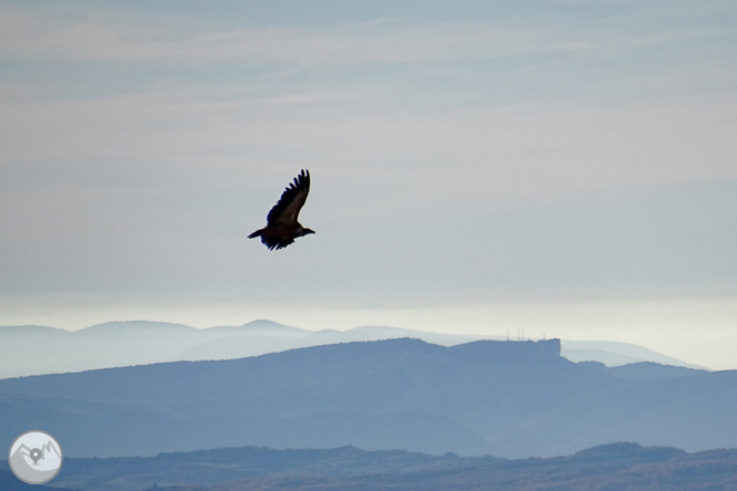 Sierra de Sant Gervàs: el Portús y la Avedoga d