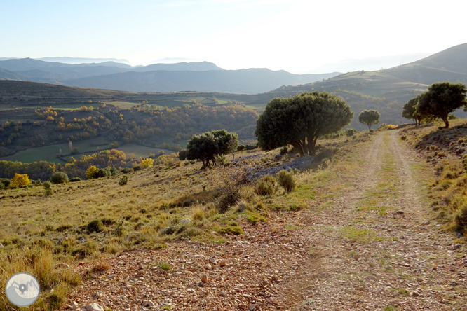 Sierra de Sant Gervàs: el Portús y la Avedoga d