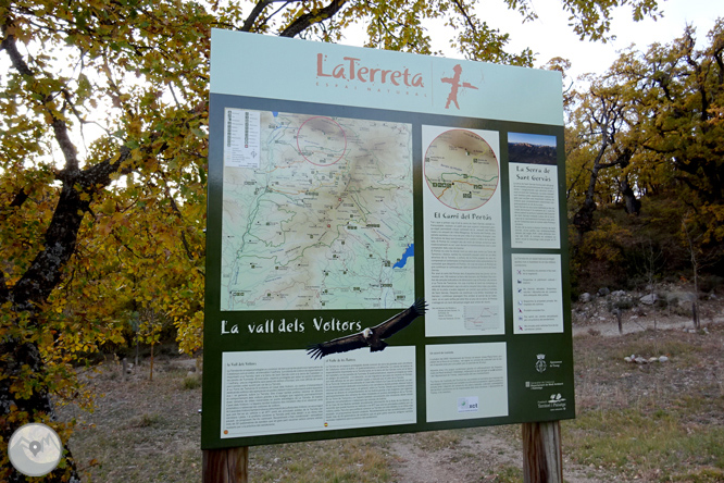 Sierra de Sant Gervàs: el Portús y la Avedoga d