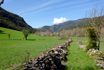 Prados del Pla de Sant Joan.