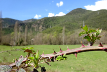 Prados y bosque de ribera.