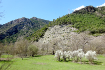 El valle se estrecha.