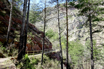 Camino de Arboló.