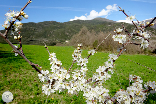 Virgen de Arboló y Gerri de la Sal desde Sort 1 