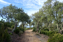 Llegando al collado de Sant Baldiri.