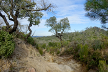 Bajando hacia Sant Feliu de Guíxols.