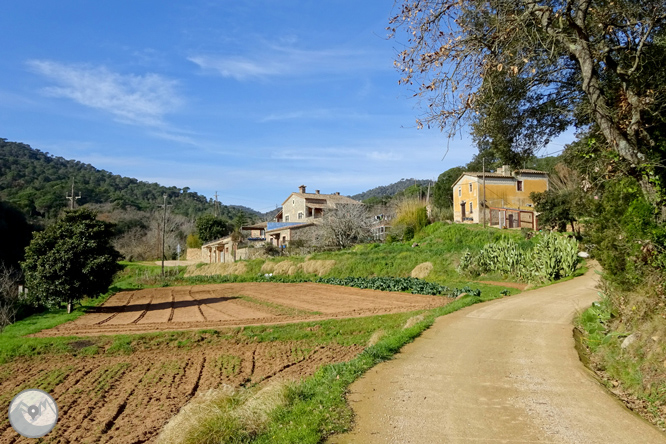 Macizo de la Ardenya desde Sant Feliu de Guíxols 1 